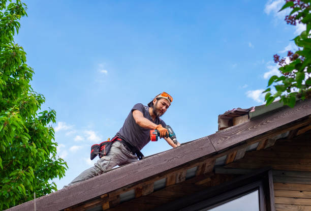 Trusted Lafayette, OR Roofing services Experts